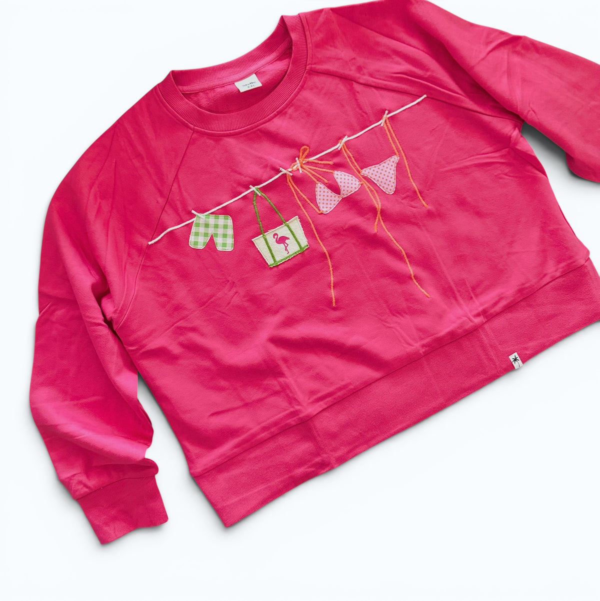 Coastal 🦩 Clothesline Sweatshirt on Watermelon
