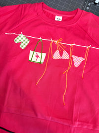 Coastal 🦩 Clothesline Sweatshirt on Watermelon